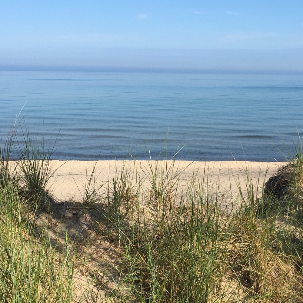 Hello! - Picture 8 of 16